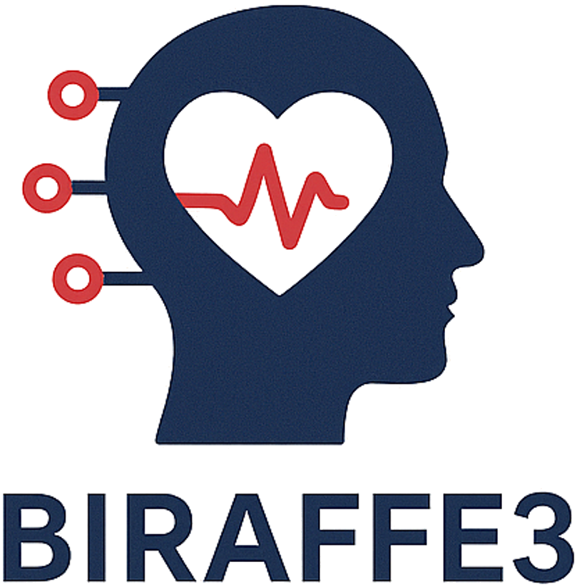 biraffe3_logo.png